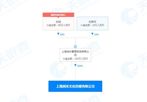 潤(rùn)米咨詢戰(zhàn)略布局新篇章 設(shè)立文化傳媒公司，注冊(cè)資本100萬(wàn)，深化社會(huì)經(jīng)濟(jì)咨詢服務(wù)生態(tài)
